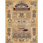 Harry Potter Stampa su Tela delle Regole del Quidditch Hogwarts, Multicolore, 60 x 80 cm (Versione in Lingua Inglese)
