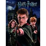 HARRY POTTER Tela, Poliestere, Harry, Ron e Hermione, 40 X 50 cm