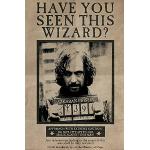 empireposter 743534 Harry Potter – Wanted Sirius Black – Film Fantasy Famiglia Stampa Cinema, Carta, Multicolore, 91,5 x 61 x 0,14 cm