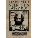 Harry Potter - Wanted Sirius Black - Poster - Unisex - multicolore