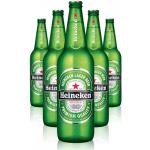 Secchielli per ghiaccio Heineken 