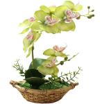 Vasi verdi in rattan per orchidee 27 cm 