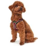 Hunter - Harness Hilo Comfort - Imbracatura per cani Halsumfang 42 - 48 cm - Bauchumfang 46 - 52 cm rosso
