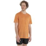 Icebreaker Sphere Ii Merino Short Sleeve T-shirt Arancione L Uomo