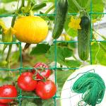 Serre verdi in HDPE per pomodori 