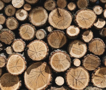 sezioni di tronchi di legno