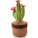 Fermaporta verdi finitura sabbiata a tema cactus 
