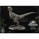 Jurassic World: Fallen Kingdom Prime Collectibles Statua 1/2 Baby Blue 34 Cm Prime 1 Studio