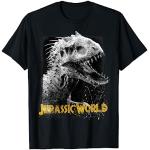 Abbigliamento & Accessori neri S per Uomo Jurassic World 