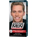 Just For Men Tint Cast Chi
