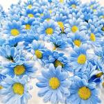Fiori blu a tema fiori per compleanno 