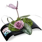 Kadax Ikebana realizzato in plastica, vaso Ikebana, vaso di fiori, ciotola di fiori, supporto per fiori giapponesi per girasoli, vaso di fiori Ikebana, disposizione dei fiori (L: 24,9 cm, nero)