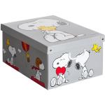 Scatole design grigie di plastica con coperchio Snoopy 