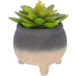 Kave Home - Pianta artificiale Sedum lucidum in vaso in cemento