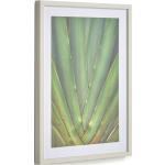 Kave Home - Quadro Lyn in legno bianco con aloe vera verde 50 x 70 cm