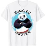 Kung Fu Panda Po Kung Fu Master Paint Smear Portra