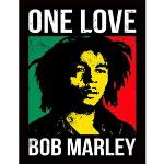 Leroy Merlin Stampa incorniciata Bob Marley one love 34 x 44 cm