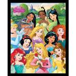 Poster Disney Princess 
