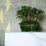 Vasi bonsai verdi in ceramica 30 cm 