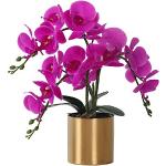 Vasi viola in metallo per orchidee 