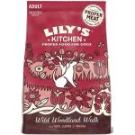Lily's Kitchen Adult Duck, Salmon & Venison Wild Woodland Walk: 2,5 kg