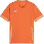 Vestiti ed accessori sportivi arancioni Puma teamGOAL 