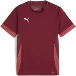 Vestiti ed accessori sportivi rossi Puma teamGOAL 
