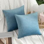 Cuscini azzurri 30x30 cm di cotone 2 pezzi per divani morbidi 