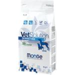 Monge VetSolution Canine Dermatosis - 12 Kg - 2+ sacchi