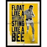 Muhammad Ali 60 x 80 cm, galleggiare Come Una Farfalla - Stampa su Tela