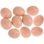 EQLEF® Nest Set di 10 uova finte per decorazioni