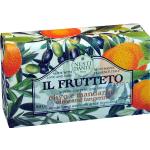 Nesti Dante Il Frutteto Olivo e Mandarino sapone naturale 250 g