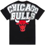 New era nba chicago bulls large graphic tee black
