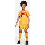 Abbigliamento e vestiti gialli da calcio per bambino Nike Barcelona di Kelkoo.it 
