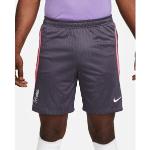 Nike Liverpool Fc Pantaloncini Shorts Antracite Dry Strike Training 2023 24
