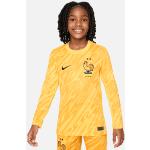 Maglie  gialle da calcio per bambino Nike Dri-Fit FFF di Kelkoo.it 