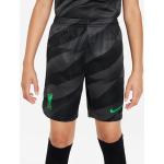 Pantaloncini grigi da calcio per bambini Nike Dri-Fit Liverpool F C 