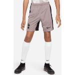 Nike Shorts da calcio Dri-FIT Tottenham Hotspur 2023/24 Stadium per ragazzi – Terza - Marrone