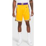 Nike Shorts Los Angeles Lakers Icon Edition Uomo