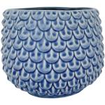 Cactus blu in ceramica 13 cm 