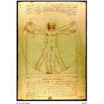 Poster Leonardo Da Vinci 