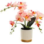 Vasi rosa per orchidee 33 cm 