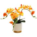 Vasi arancioni per orchidee 33 cm 