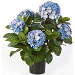 artplants.de Ortensia Artificiale, 230 Fiori, 135 Foglie, Blu, Deluxe, 55cm, Ø 35cm - Pianta in Vaso/Fiore colorato
