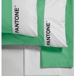 Pantone™ - Completo Letto Matrimoniale Cotone 2 Piazze con Lenzuola 240x280 + Federe Cuscini 50x80 + Lenzuolo Sotto con Angoli Matrimoniale 180x200, per Materasso 25hcm, Verde Chiaro/Bianco