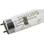 Lampadine a neon compatibile con G13 Philips 