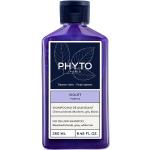 Shampoo 250  ml viola naturali per capelli colorati Phyto 