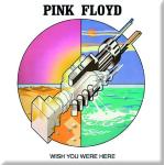 Calamite rosa Pink Floyd 