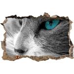 Adesivi murali 3D azzurri a tema gatti Pixxprint 
