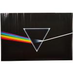 Poster multicolore Ambrosiana Pink Floyd 